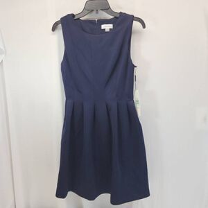 Calvin Klein Size 8 Petite Navy Blue Pleated Fit a Flare Dress S3 NWT